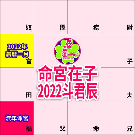 流年命宮天同2023